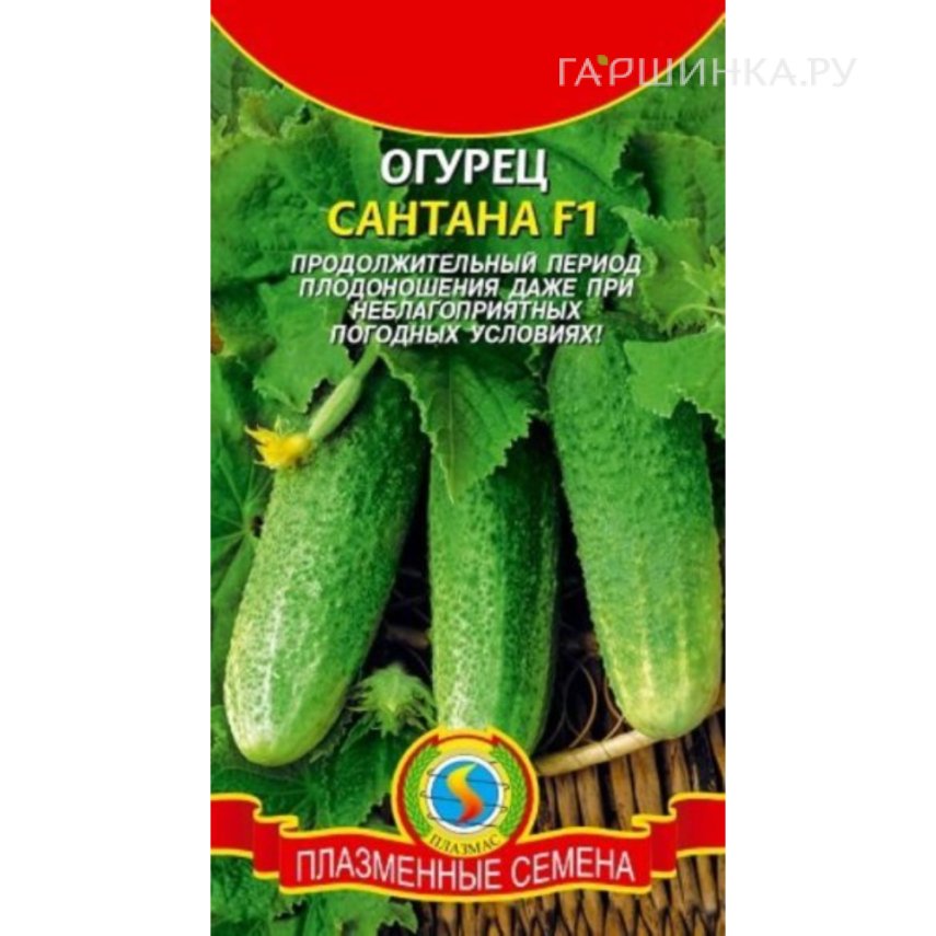 Огурец Сантана F1 10 шт, Плазменные семена