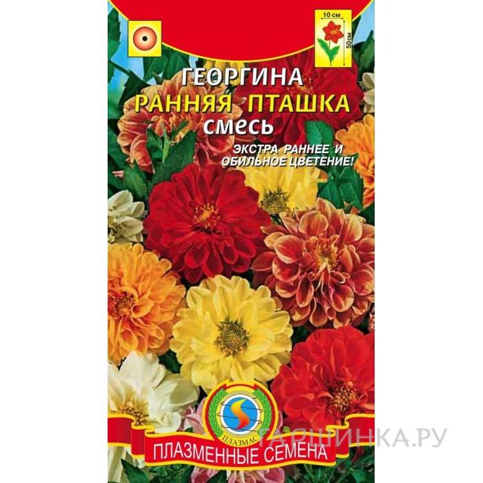 Георгина Ранняя пташка, смесь, 12 шт, Плазменные семена
