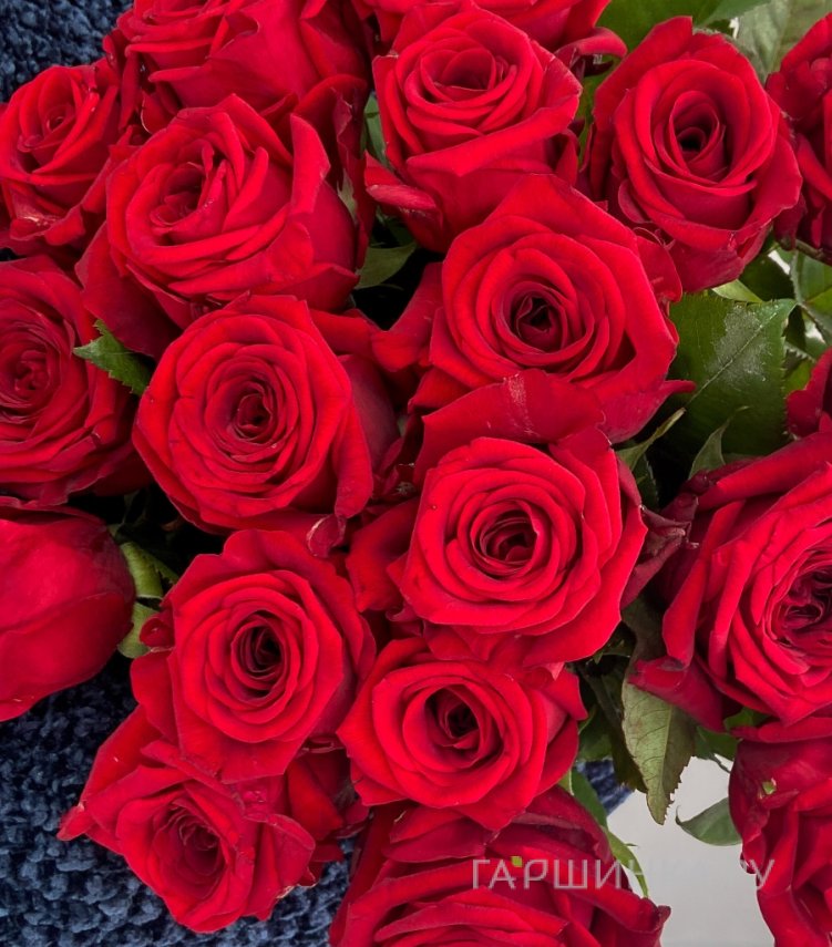 Роза Ред Наоми чайно-гибридная