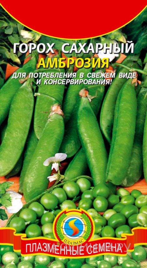 Горох Амброзия сахарный 8 г, Плазменные семена