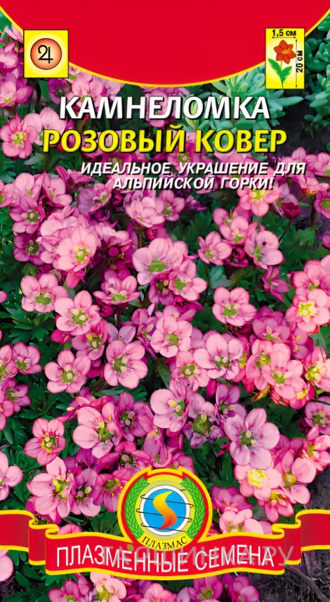 Камнеломка Розовый ковер 0,01 гр, Плазменные семена