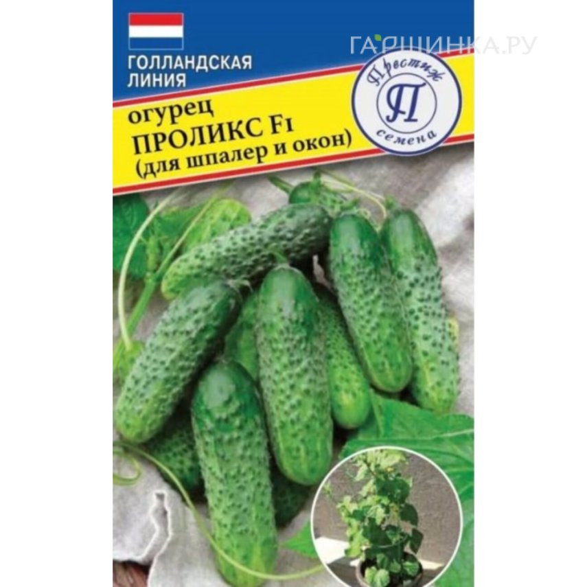 Огурец Проликс F1 (для шпалер и окон) 5 шт, Семена Престиж
