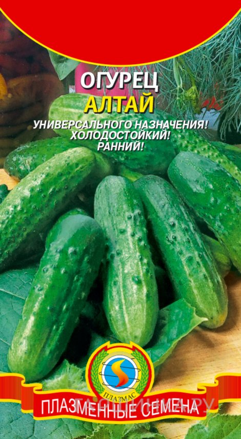 Огурец Алтай 12 шт, Плазменные семена