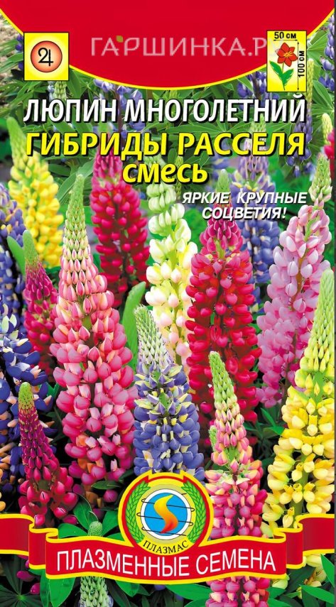 Люпин Расселя смесь многолетний гибрид 0,45 г, Плазменные семена