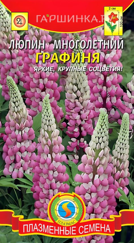 Люпин Графиня многолетний 0,45 г, Плазменные семена