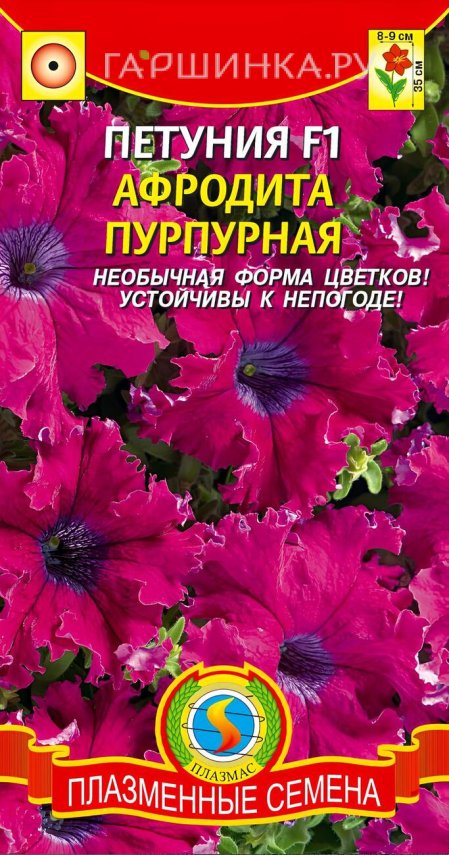 Петуния Афродита Пурпурная крупноцветковая F1 10 шт, Плазменные семена