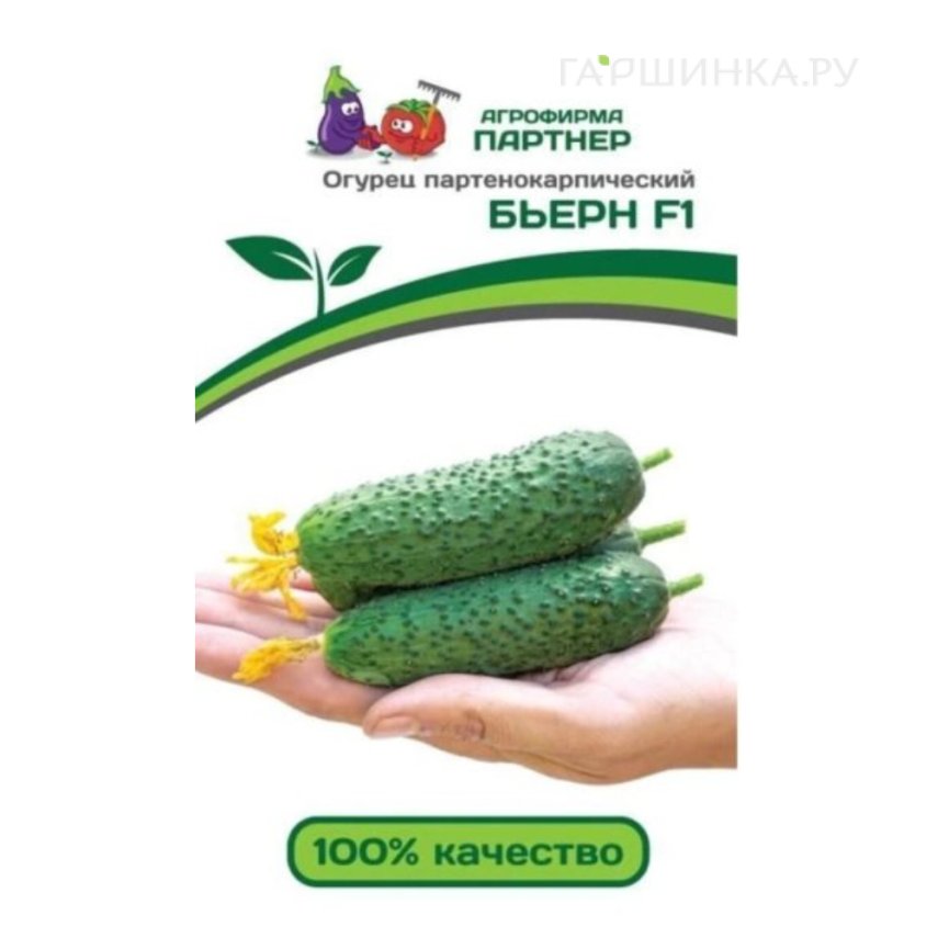 Огурец Бьерн F1 партенокарпический 5 шт. Семена Партнер