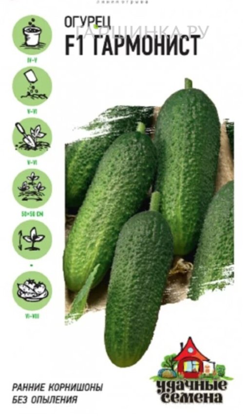 Огурец Гармонист F1 10 шт. корнишон ЦП Семена Гавриш