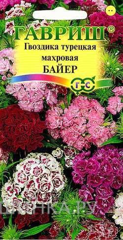 Гвоздика турецкая махровая Байер, смесь 0,2г
