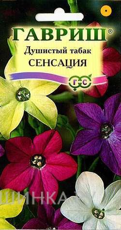 Табак Сенсация крылатый смесь 0,1 г Семена Гавриш