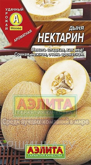 Дыня Нектарин ц/п, Семена Аэлита