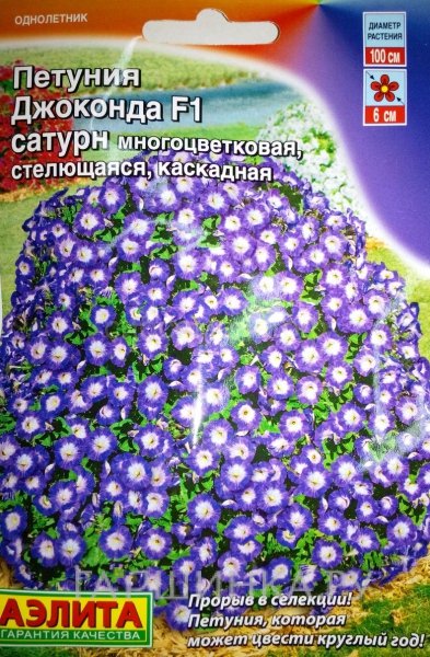 Петуния Джоконда F1 сатурн голубая