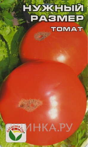 Томат Нужный размер 20 шт.