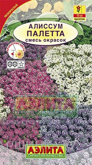 Алиссум Палетта, смесь окрасок