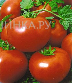 Томат Полфаст F1 10шт