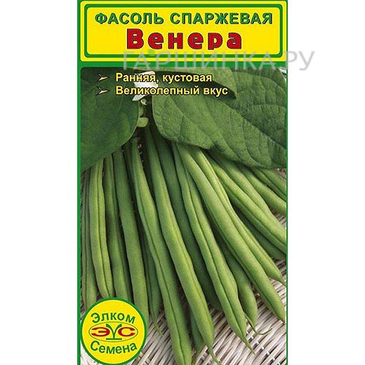 Фасоль спаржевая Венера (5 гр.)