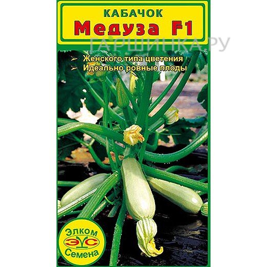 Кабачок Медуза F1 (5 сем.)