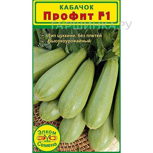Кабачок Профит F1 (5 сем.)