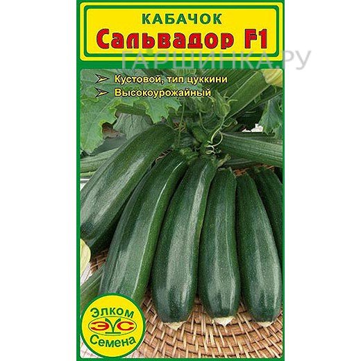 Кабачок Сальвадор F1 (5 сем.)