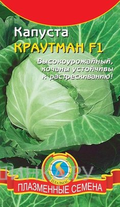 Капуста Краутман белокочанная 15 шт