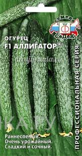 Огурец Аллигатор F1 0.2г