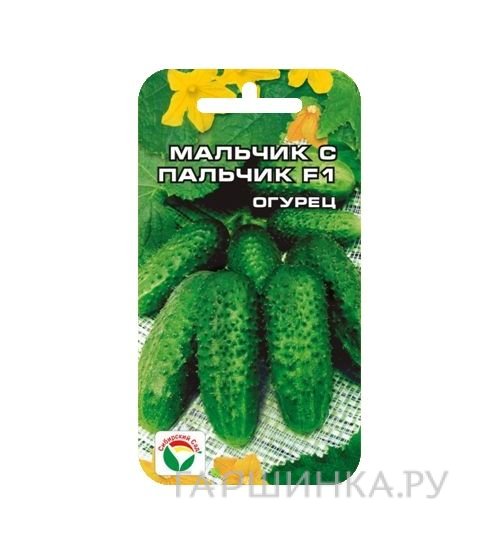 Огурец Мальчик-с-пальчик СеДек F1 (Евро, 0,2, 0151)
