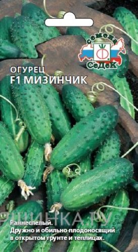 Огурец Мизинчик F1 ц/п 0,3 г, Семена Седек