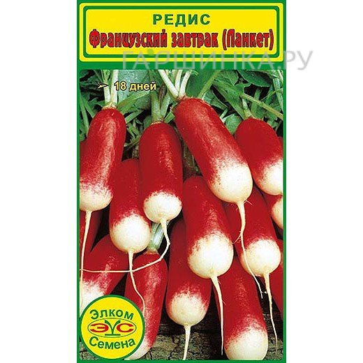 Редис Французский Завтрак (2 гр.)