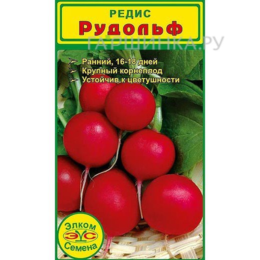Редис Рудольф (1 гр.)