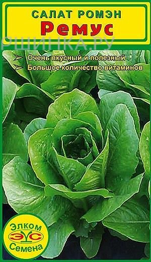 Салат Ремус (10 држ.)