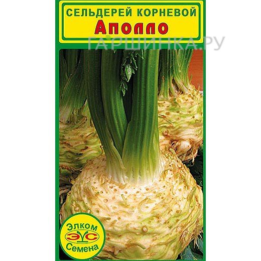 Сельдерей корневой Аполло (0,5 гр.)
