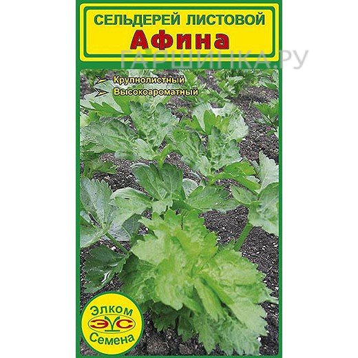 Сельдерей листовой Афина (1 гр.)