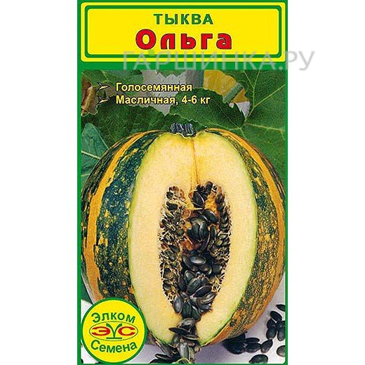 Тыква голосемянная Ольга (5 сем.)