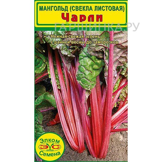 Свекла листовая Мангольд Чарли (1 гр.)