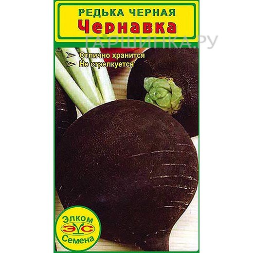 Редька черная Чернавка (2 гр.)