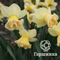 Арт Дизайн-2