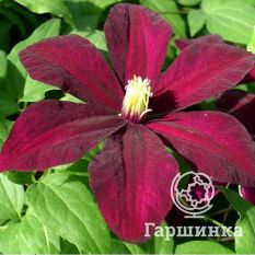 Вестерплатте-2