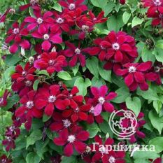 Вестерплатте-3