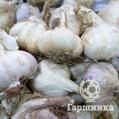 Подмосковный-1