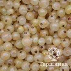 Версальская-3