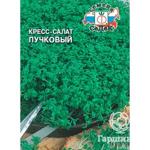 Кресс-салат Пучковый 1 г Семена Седек 41₽