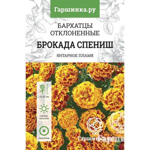 

Бархатцы Брокад Спэниш откл. махровые