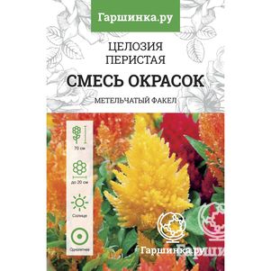 Целозия Перистая, смесь окрасок