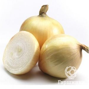 

Лук-севок Купидо F1 (желтый) 0,5 кг