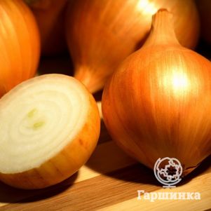 

Лук-севок Золотистый Семко (желтый) 0,5 кг