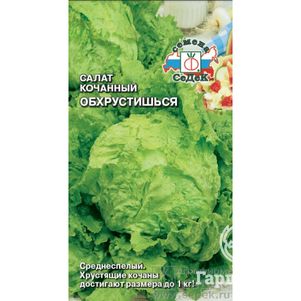 Салат Обхрустишься кочанный 05 г Семена Седек 41₽