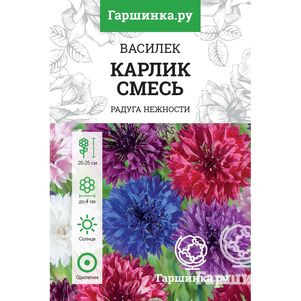 

Василек Карлик, смесь пастельных оттенков