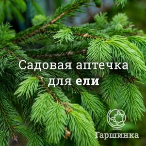 

Аптечка для елей