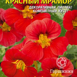 Настурция Красный мрамор ц.п. 6 шт