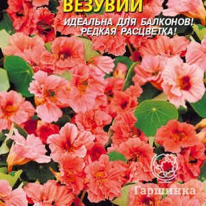 

Настурция Везувий ц.п. 9 шт